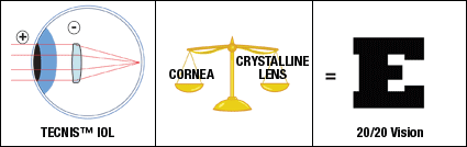 Vision with TECHNIS® IOL
